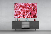 Pink Rose panel catching soft light to reveal its dewy petals