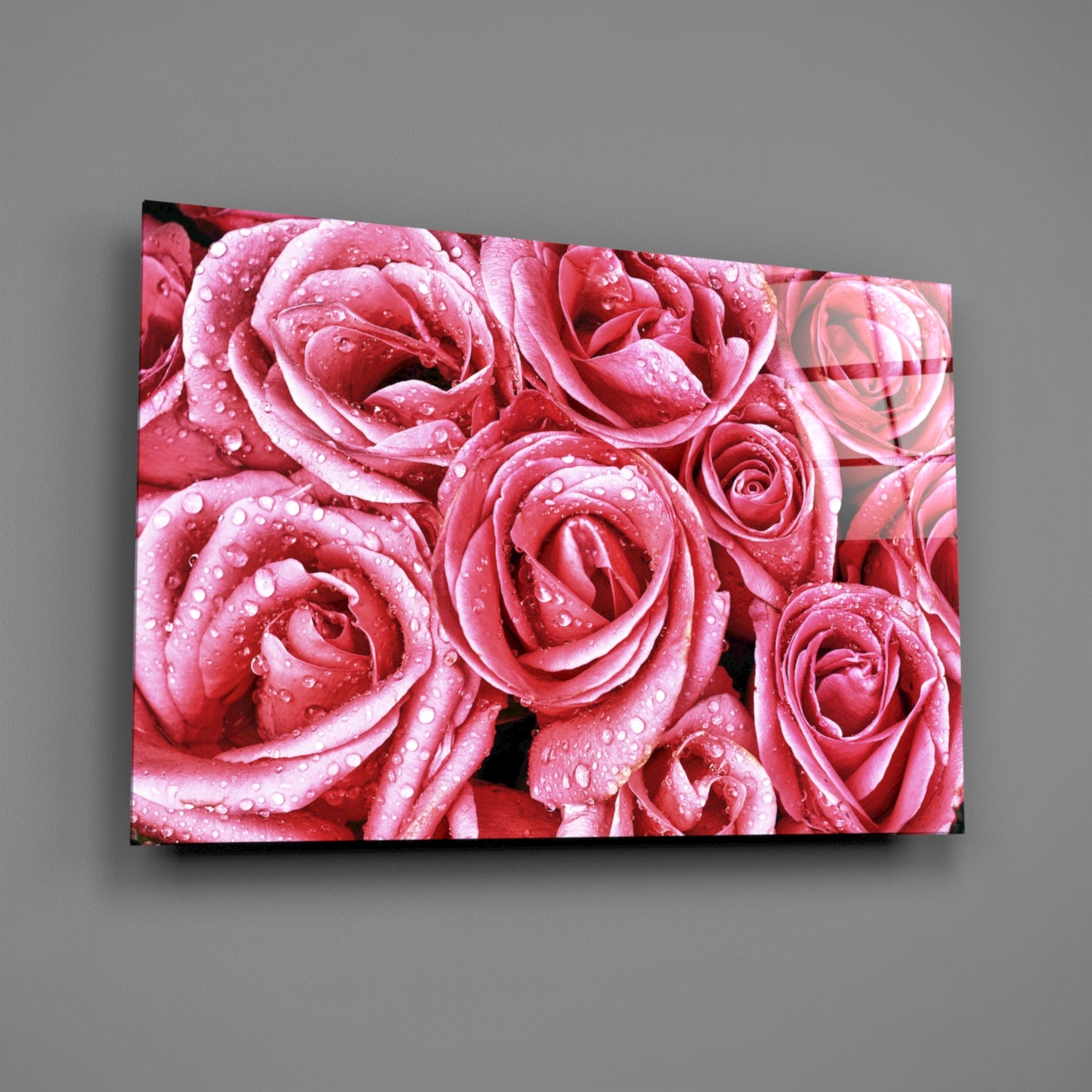 Pink Rose Glass Wall Art.