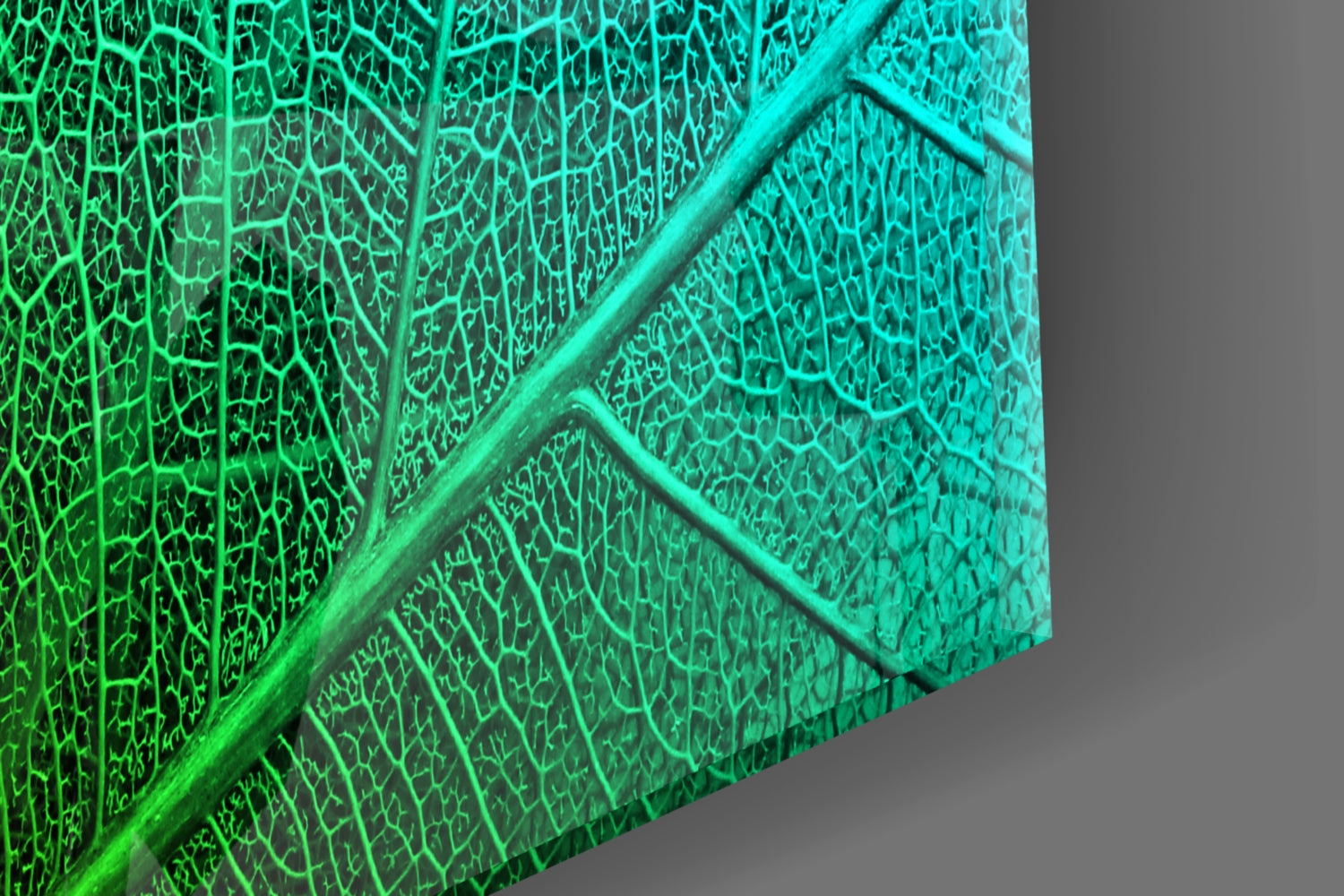 Green Leaf Glass Wall Art.