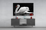 Swan panel catching low light to reveal its luminous plumage