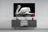 Swan panel catching low light to reveal its luminous plumage