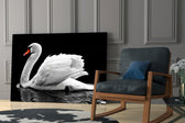 Swan glass print enhancing a hallway with quiet drama