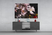 Macro Flower panel catching low light to reveal its luminous petals