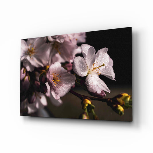 Macro Flower glass wall art displayed above a console in a designer interior