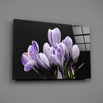 Striped crocus panel bringing romantic intimacy to a contemporary living space
