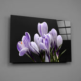 Striped crocus panel bringing romantic intimacy to a contemporary living space