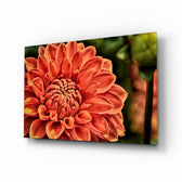 Orange Gerbera glass wall art displayed above a console in a designer interior