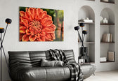 Orange Gerbera glass wall art styled in a sunroom with botanical pulse