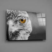 Selective-color falcon panel bringing predator authority to a contemporary living space
