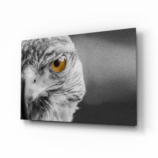 Falcon glass wall art displayed above a console in a designer interior