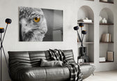 Falcon glass wall art styled above a desk in a predator-presence study