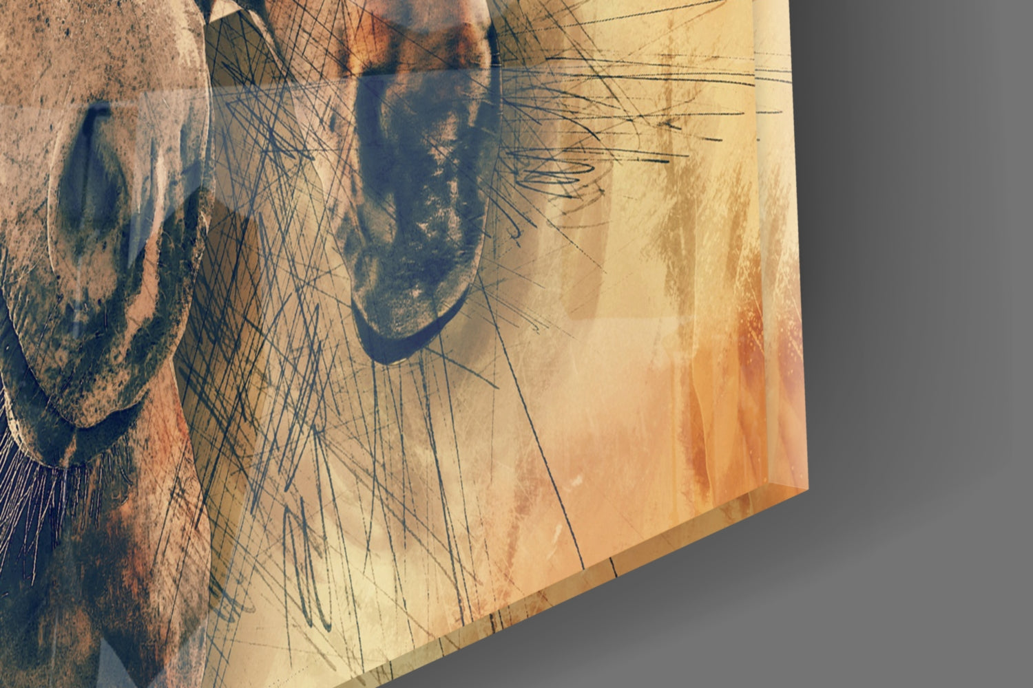 Horses Glass Wall Art.