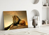 Close-up detail of male lion's mane catching golden-hour wind