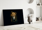 Close-up detail of male lion's golden eyes against rich mane