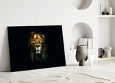 Close-up detail of male lion's golden eyes against rich mane