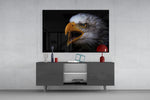 Eagle panel catching low light to reveal its primal cry