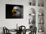 Eagle panel adding explorer mood to a study