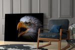 Eagle glass print enhancing a hallway with sentinel cry