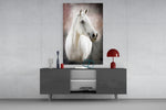 Horse panel catching warm light to reveal its luminous coat
