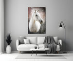 Close-up detail of the white horse's composed gaze