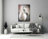 Close-up detail of the white horse's composed gaze