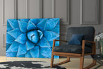 Micro Flower glass print enhancing a hallway with desert mood