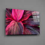 Magenta cordyline panel bringing tropical warmth to a contemporary living space