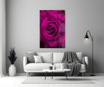 Close-up detail of the velvet magenta petals at the rose center