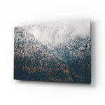 Forest glass wall art displayed above a console in a designer interior