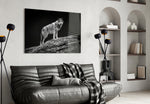 Wolf glass wall art styled above a desk in an explorer-presence study