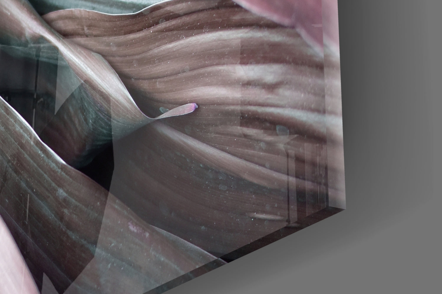 Leaves Glass Wall Art.