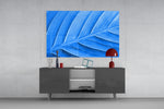 Blue Leaf panel catching soft light to reveal its graphic veins