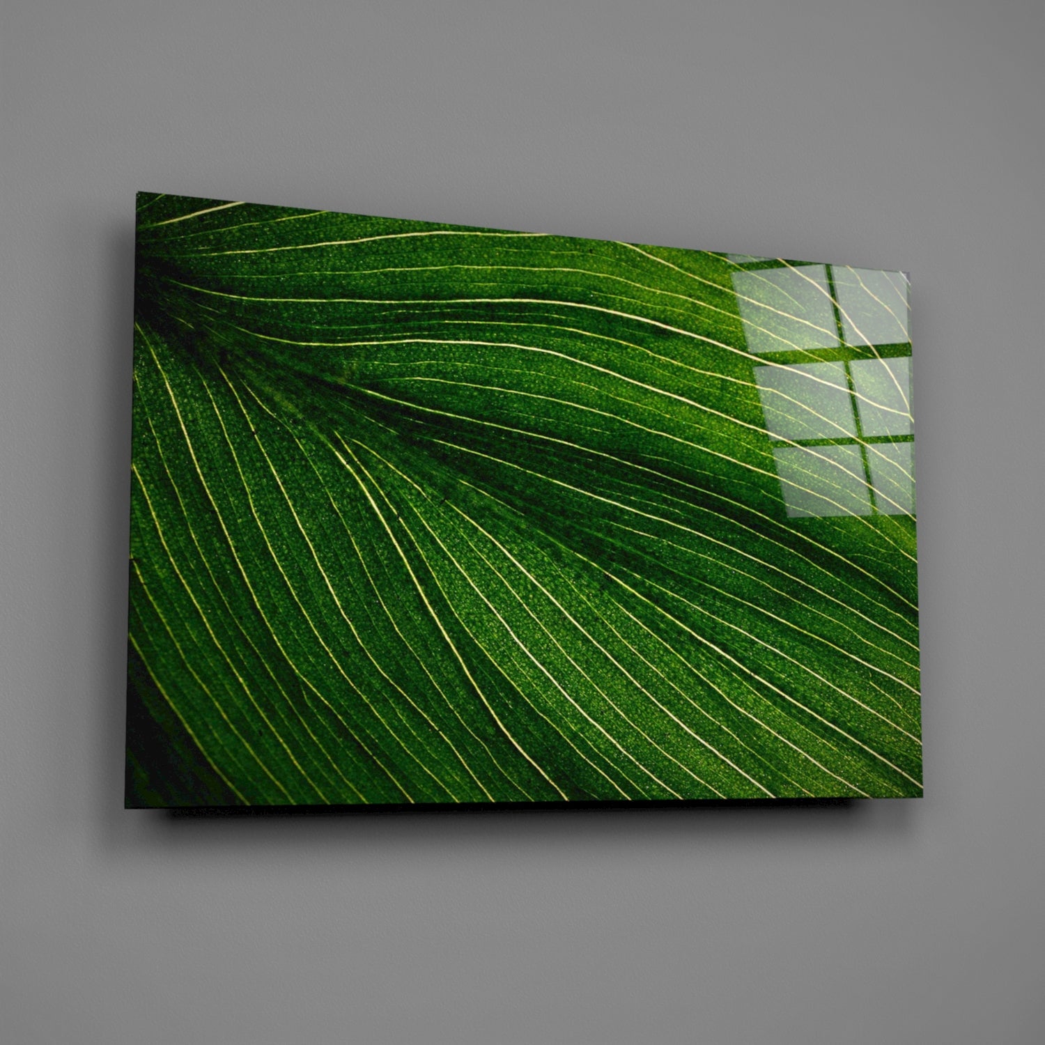 Green Leaf Glass Wall Art.