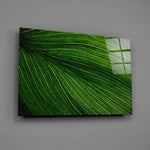 Emerald palm-leaf panel bringing biophilic energy to a contemporary living space
