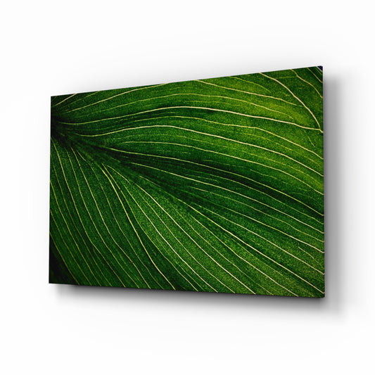Green Leaf glass wall art displayed above a console in a designer interior