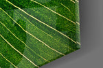 Green Leaf artwork anchoring a biophilic-themed wall in bold palette