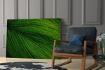 Green Leaf glass print enhancing a hallway with statement focal point