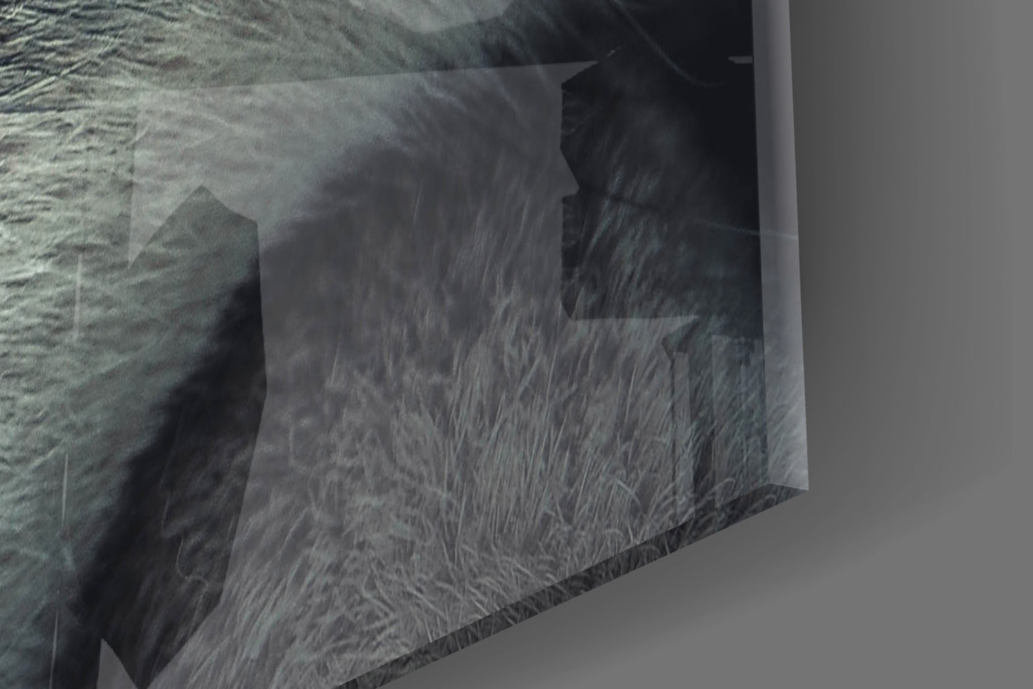 Wolf's Eye Glass Wall Art.