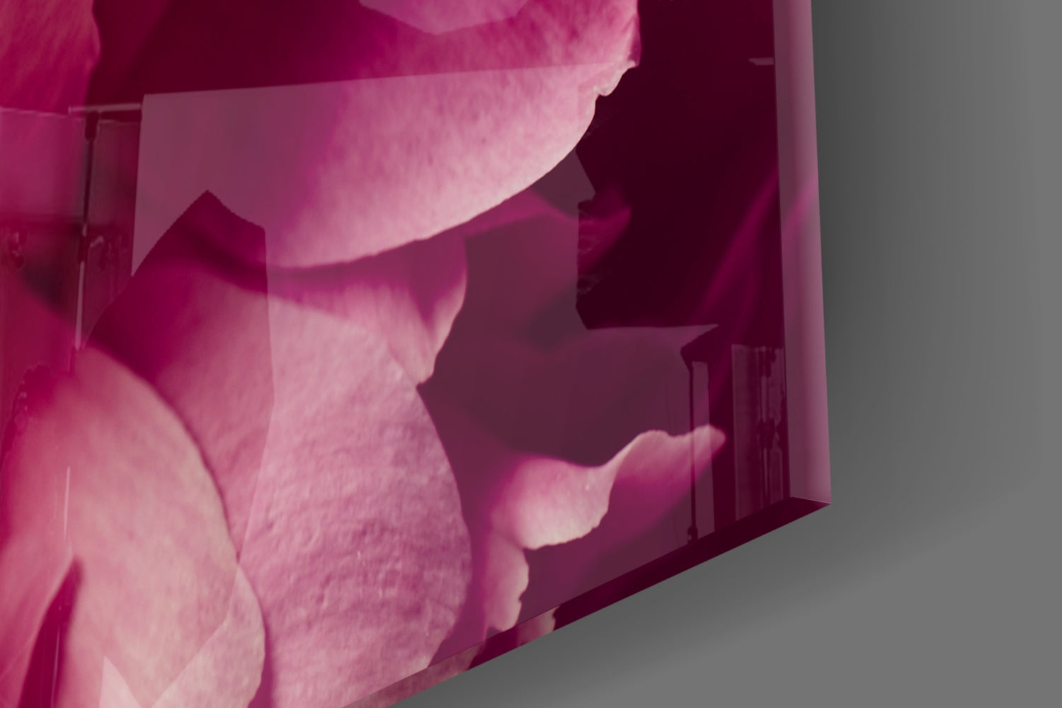 Pink Flower Glass Wall Art.
