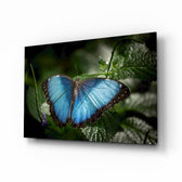 Butterfly glass wall art displayed above a console in a designer interior