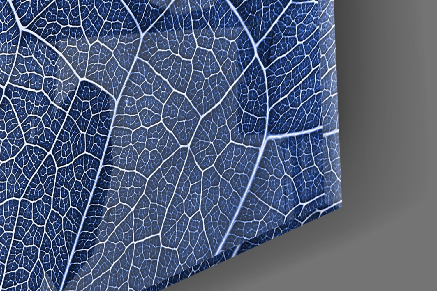 Macro Blue Leaf Glass Wall Art.
