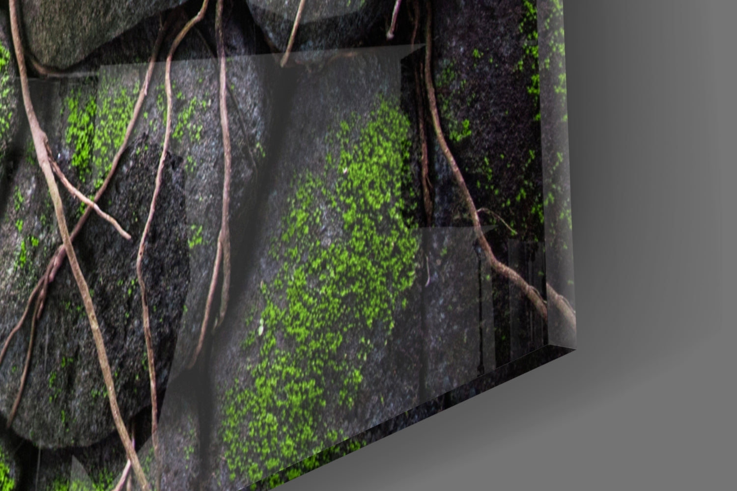 Mossy Stones Glass Wall Art.