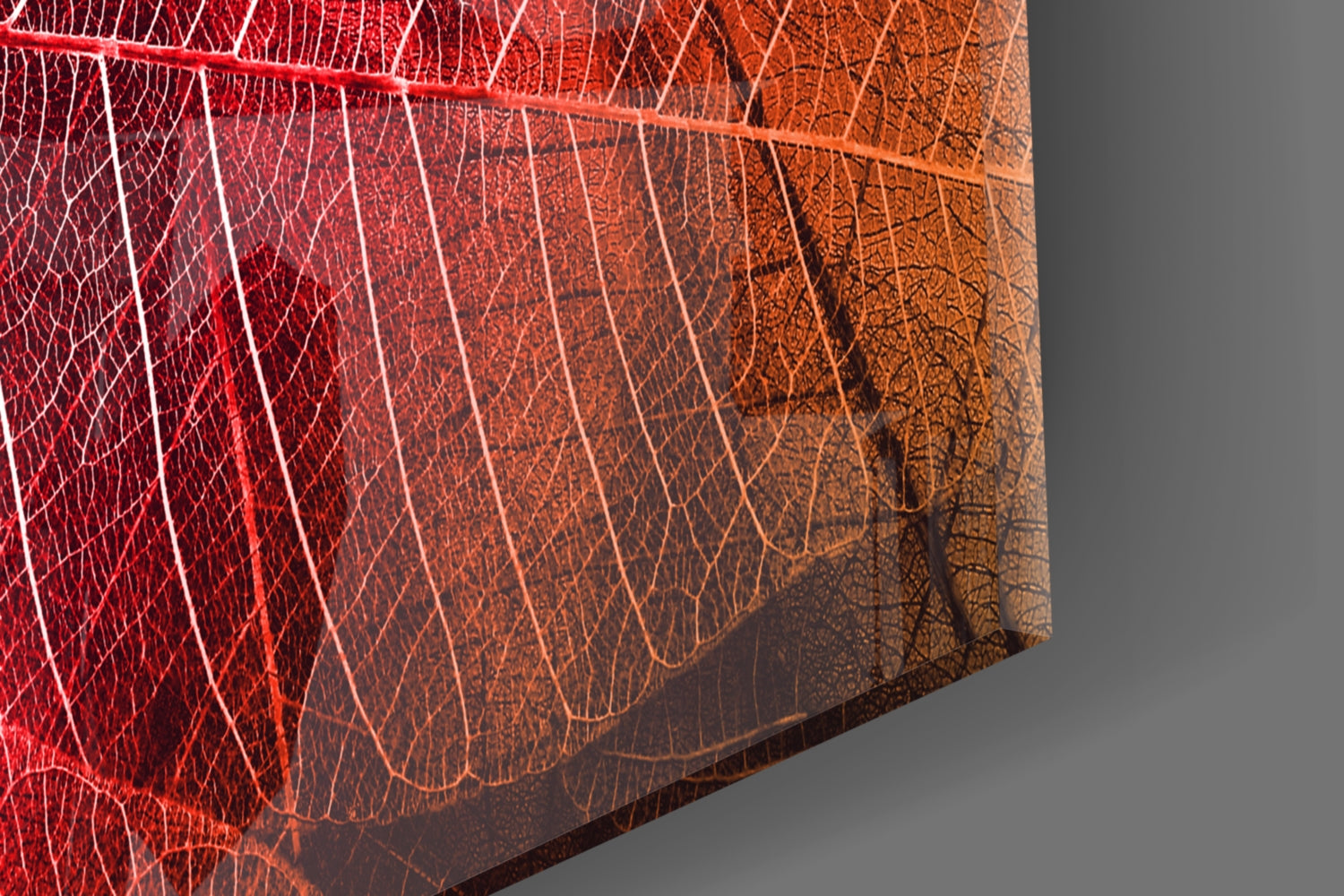 Macro Red Leaf Glass Wall Art.