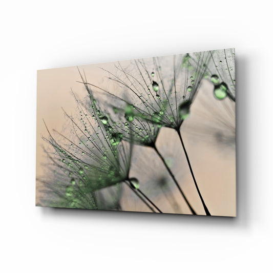 Green Dandelion glass wall art displayed above a console in a designer interior