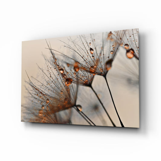 Cinnamon Dandelion glass wall art displayed above a console in a designer interior