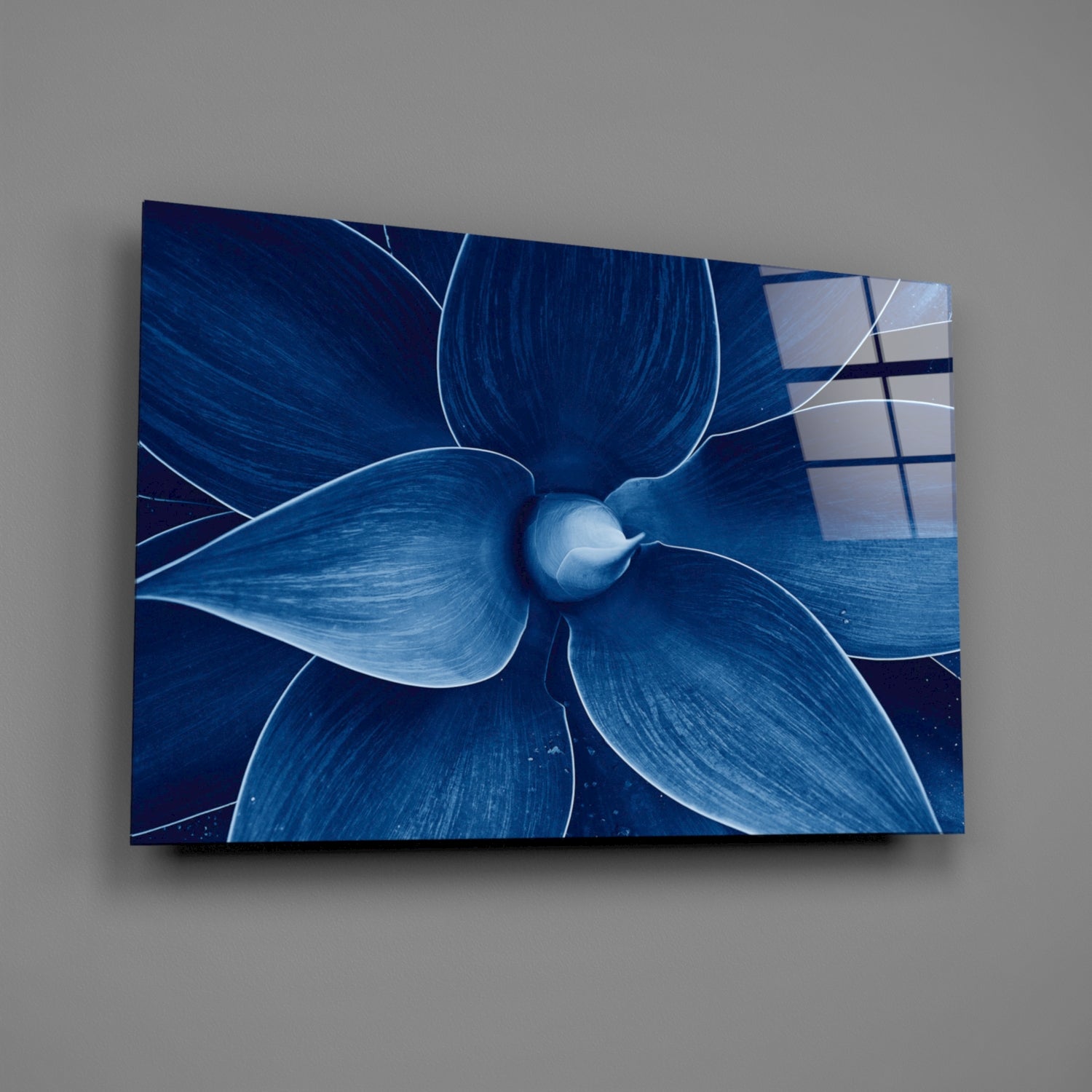 Macro Flower Glass Wall Art.