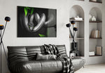 Snake glass wall art styled above a desk in an introspective study