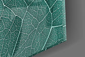 Leaf Texture artwork anchoring a wall with cool biophilic palette