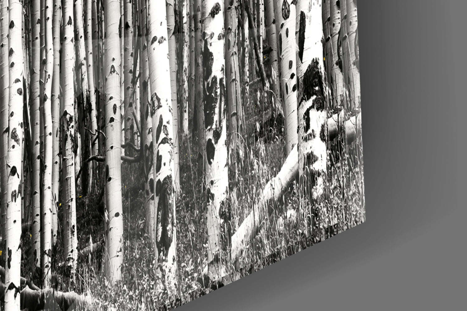 Yellow Forest Glass Wall Art.