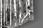 Blue Forest artwork anchoring a wall with calm coastal palette